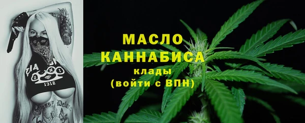 гидра Новодвинск
