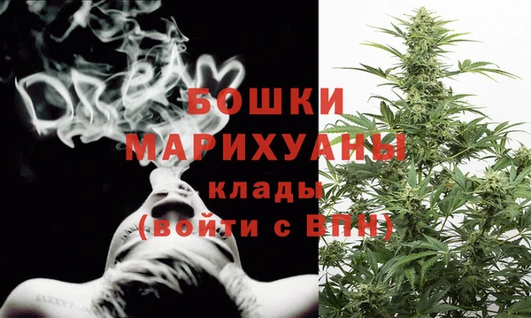 винт Няндома