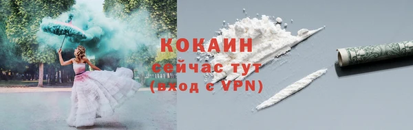 винт Няндома