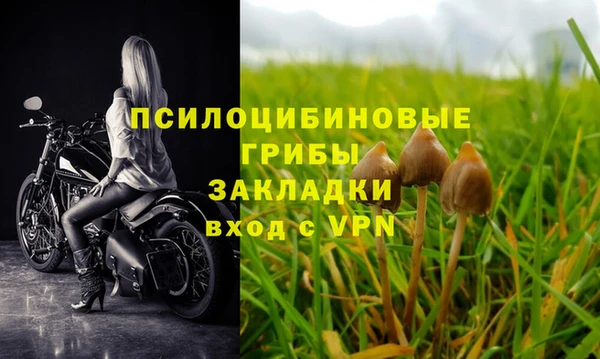 Альфа ПВП Нязепетровск