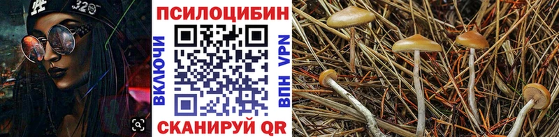 Галлюциногенные грибы мицелий купить наркотики сайты Обоянь